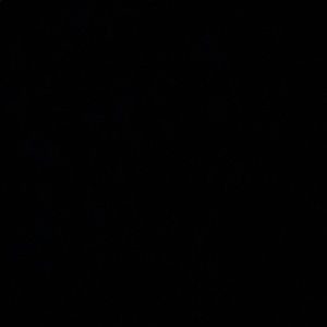 Meet your Posher, Shane